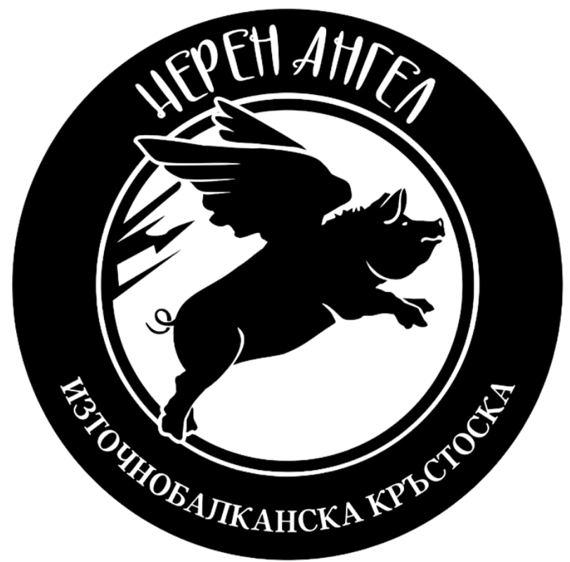6 logo