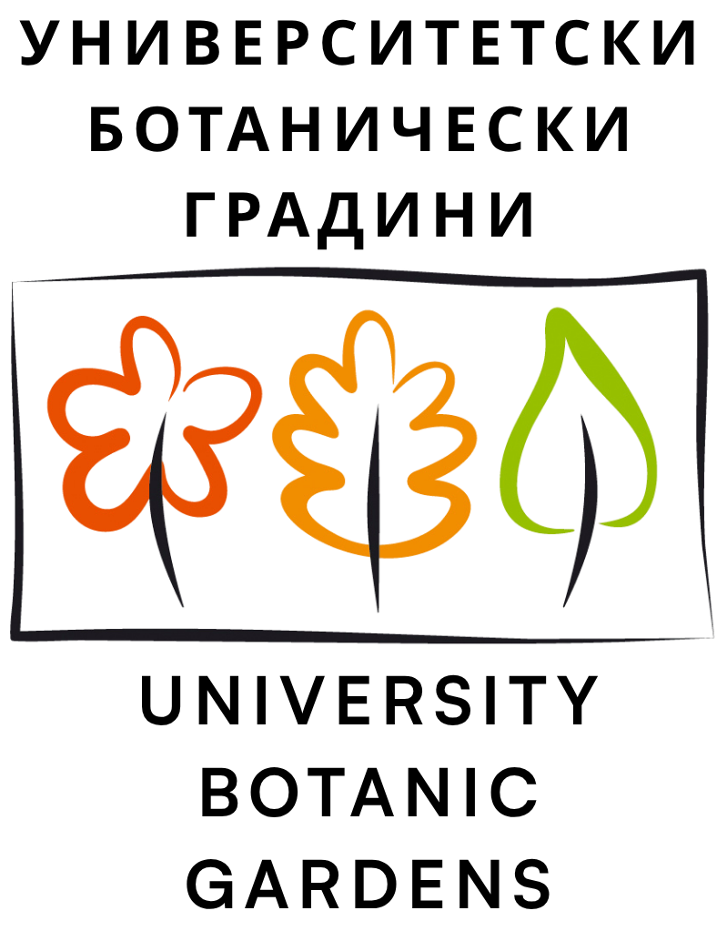 7 logo